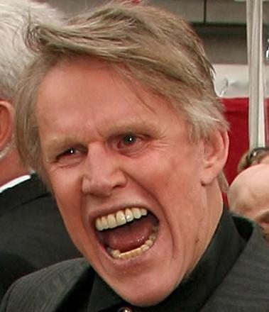 Gary Busey